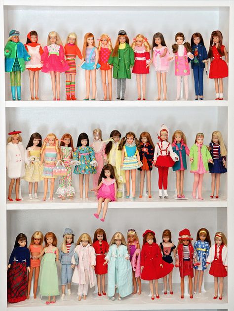 Skipper Doll Clothes, Skipper Butterflies, Barbie Display, Skipper Doll Knitting Patterns, Skipper Barbie, 1980s Skipper Doll, Vintage Skipper Clothes, Friends Vintage, Barbie Sisters