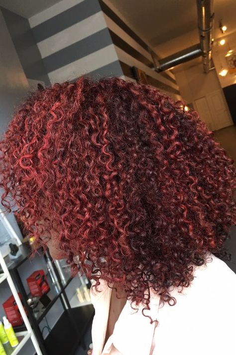 Halo Hair Dye Style Curly Hair, Black Cherry Hair Color Curly Hair, Afro Hair Dye, Black Cherry Hair Color, Dark Pink Hair, Curly Afro Hair, Curly Hair Fade, Dyed Curly Hair, Highlights Curly Hair