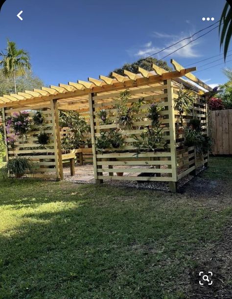 Orchid Shade House, Orchid Shed Ideas, Orchid Shade House Ideas, Orchid House Ideas, Orchid Pergola, Orchid Garden Ideas Backyards, Como Plantar Pitaya, Orchid House, Shade House