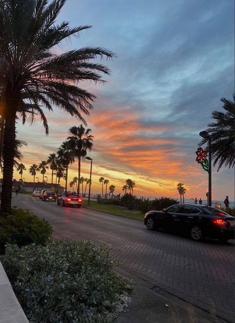 #florida #sunset #beach #palmtrees Florida Wallpaper, Miramar Beach Florida, Florida Pictures, Miss Florida, Fl Beaches, Florida Sunset, Best Wallpaper Hd, Florida Lifestyle, Coastal Life