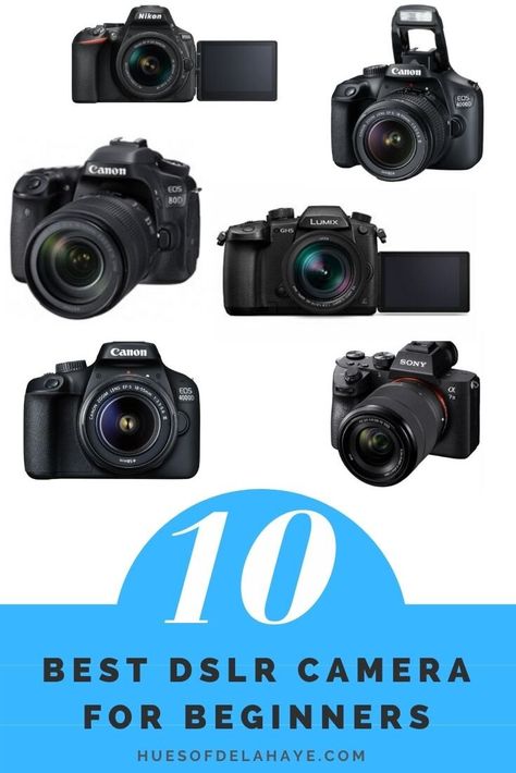 Best Dslr Camera Photography, Dslr For Beginners, Best Beginner Photography Cameras, Best Dslr Camera For Beginners, Best Digital Camera For Photography, Cannon Camera For Beginners, Best Starter Camera For Photography, Starter Camera For Photography, Photography For Beginners Canon