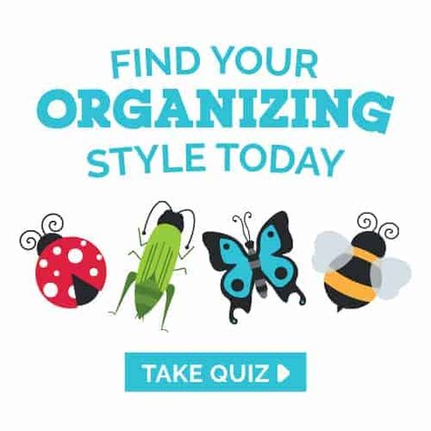 Clutterbug Quiz, Clutterbug Cricket Organization, Cricket Organization Style Clutterbug, Bee Organization Style Clutterbug, Clutterbug Ladybug Organization, Butterfly Organization Style Clutterbug, Clutterbug Butterfly, Ladybug Organization, Clutterbug Organization