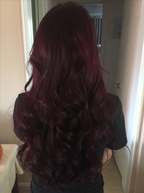 Gorgeous wine/eggplant hair Darkest Burgundy Hair, Dark Wine Red Hair Burgundy, Ruby Noir Hair Color, Curly Plum Hair, Deep Mahogany Hair Color, Ruby Wine Hair Color, Deep Wine Hair Color, Eggplant Hair Color, Cherry Wine Hair Color