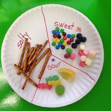 5 Senses Food Activities, Tasting Activities Preschool, Taste 5 Senses Preschool, Sense Of Taste Activities Preschool Science Experiments, My 5 Senses Preschool Crafts, Food And Flavor Activities For Preschool, 5 Senses Taste Test Preschool, My 5 Senses Crafts For Toddlers, Taste Sensory Activities