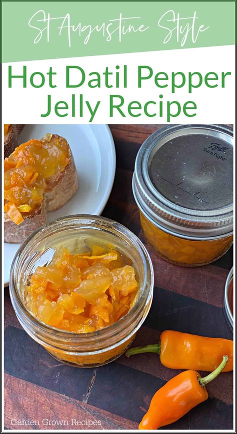 This datil pepper jelly recipe is made from the fiery datil pepper. If you love spicy foods then you will love datil pepper jelly. This isn't the hottest pepper out there but they definitely bring some heat! Datil Pepper Jelly, Datil Pepper Recipe, Canning Veggies, Garden Canning, Pepper Jelly Recipe, Datil Pepper, Pepper Jelly Recipes, Healthy Woman, Hot Pepper Jelly