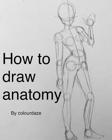 DUENDE ΛRTS HELP ✪ on Instagram: “How to draw anatomy 😂 by @colourdaze ✪ Tag your Friends!!! Let us know what do you think!😊 Shared by @rob_matteazzi 🎨…” How To Draw Anatomy, Draw Anatomy, Draw Step By Step, Step Design, Drawing Styles, Learning To Draw, How To Draw Steps, Drawing Body Poses, Face Drawing Reference