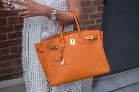 Orange Birkin, Hermes Birkin Handbags, Kelly Bag, Dior Handbags, Birkin 25, Fashion Icons, Hermes Handbags, Hermes Bags, Best Bags