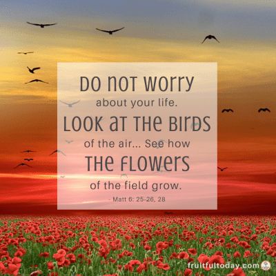 Verse about trusting God: "Do not worry about your life. Look at the birds of the air... See how the flowers of the field grow." Matthew 6:25-26, 28 Verses About Trust, Matthew 6 25, Jesus Wept, Do Not Worry, Trusting God, Inspirational Verses, Prayers For Children, Matthew 6, Kids Focus