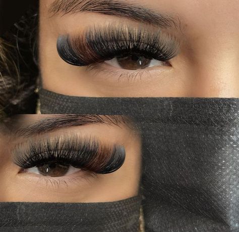 Lashes With Brown Color, Baddie Lash Extensions, Lash Inspiration, 2022 Makeup, Evening Eye Makeup, Best Lash Extensions, Lash Extentions, Lashes Fake Eyelashes, Lash Extensions Styles