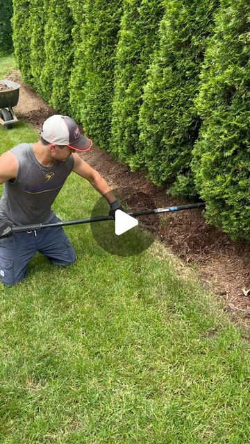 Garden Storage Bench, Plant Shed, Lake Landscaping, Front Lawn Landscaping, Mulch Landscaping, Front Porch Ideas Australia, Landscaping With Large Rocks, Landscape Edging, Cedar Trees