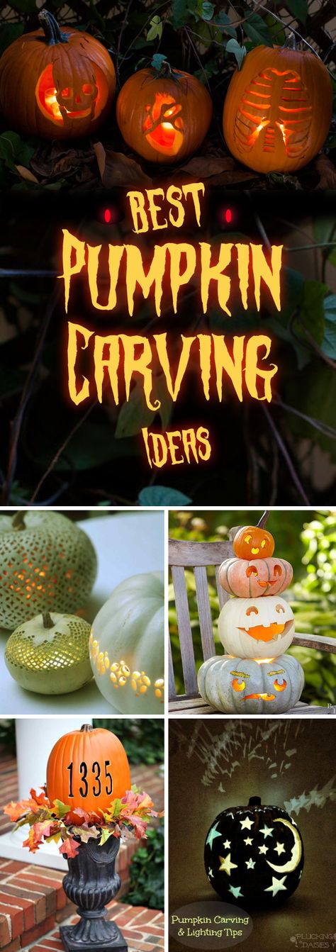 60 Easy, Cool and Scary DIY Pumpkin Carving Ideas for Halloween 2017 Intermediate Pumpkin Carving Ideas, Diy Pumpkin Carving Ideas, Unique Pumpkin Carving Ideas Easy, Pumkin Carving Ideas Creative Easy, Clever Pumpkin Carving Ideas, Pumkin Carving Ideas, Pumpkin Carving Ideas Easy, Halloween Pumpkin Carving Ideas, Diy Pumpkin Carving