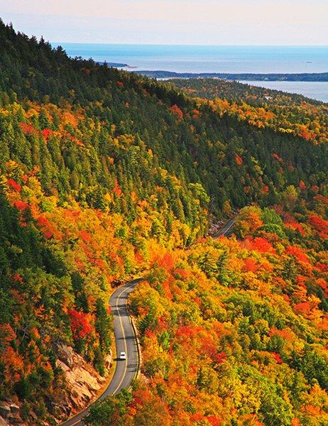 Park Loop Road, Acadia National Park, Mount Desert Island, Maine | archdigest.com Fall Foliage Trips, Fall Foliage Road Trips, Fall Road Trip, Mount Desert Island, American Road, New England Fall, Soyut Sanat Tabloları, American Road Trip, Desert Island