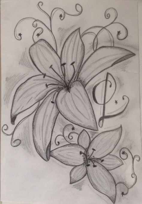 How To Draw Lily Flowers, Lilies Flowers Drawing, Lilly Flower Drawing, Lily Flower Drawing, Chicano Drawing, Lily Drawing, Simple Flower Drawing, Easy Graffiti Drawings, Lilies Drawing