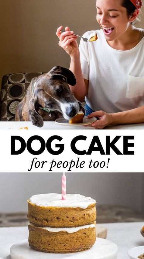 This easy Pumpkin Dog Cake is the best way to celebrate your pup's special day, and the best part is that it's people-friendly too! That's right -- make this cake for your dog and you both can enjoy it (and I promise it's delicious!). Pumpkin Dog Cake, Dog Birthday Cake Easy, Dog Cake Recipe Pumpkin, Dog Friendly Cake, Birthday Cake Easy, Dog Birthday Cake Recipe, Egg Free Cakes, Dog Cake Recipes, Dog's Birthday