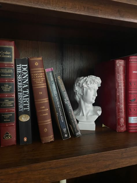 Classic Core Aesthetic, Classic Book Aesthetic, Dark Academia Inspiration, Classic Books Aesthetic, Classic Academia Aesthetic, Art History Aesthetic, Dark Academia Widget, A Secret History, Classical Books