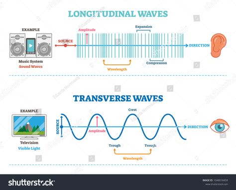 Longitudinal and Transverse wave type, vector illustration scientific diagram with wave structure and difference. Sonic and visual perception principle.vector#illustration#scientific#type Transverse Wave, Cyndi Dale, Mechanical Wave, Longitudinal Wave, Gcse Revision, Scientific Diagram, Electromagnetic Spectrum, Visual Perception, Beautiful Notes