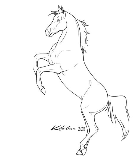 Rearing Horse Drawing, Horse Rearing Drawing, Horse Outline Drawing, Horse Lineart, Horse Line Art, Horse Outline, Horse Art Drawing, Horse Rearing, Rearing Horse