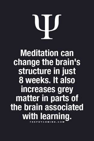 meditation can change the brain's structure in just 8 weeks. it also increases grey matter in parts of the brain associated with learning. मनोविज्ञान की सच्चाई, Grey Matter, Psychology Says, Psychology Quotes, Psychology Facts, Mindfulness Meditation, Life Facts, 8 Weeks, The Brain