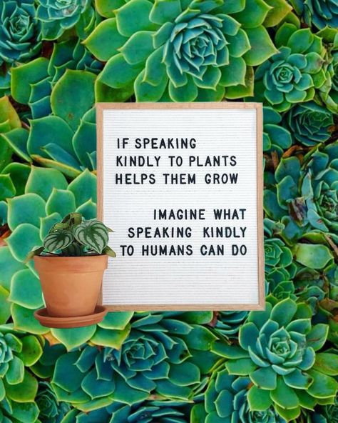 Kindness is key 🌿 If let’s help each other grow with words of love and encouragement. 💓🌸💓 I still believe in the old saying; “if you don’t… Help Each Other Grow, Plant Quotes, Thinking Minds, Message Board Quotes, Plant Puns, Words Of Love, Felt Letter Board, Word Board, Letter Boards