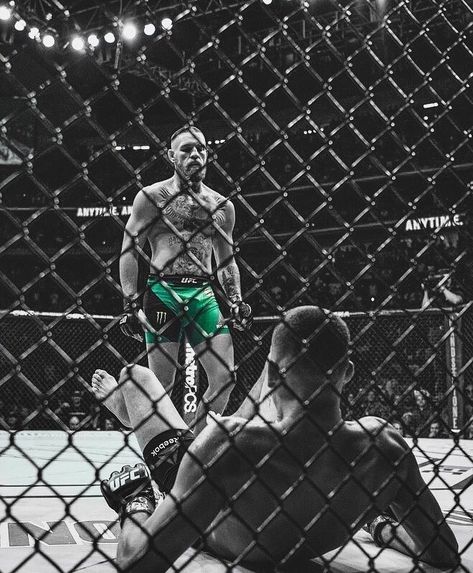 Conor Mcgregor Wallpaper Hd, Ufc Wallpapers, Conor Mcgregor Wallpaper, Mcgregor Wallpapers, Connor Mcgregor, Boxing Images, Gym Wallpaper, Ufc Boxing, Boxing Posters