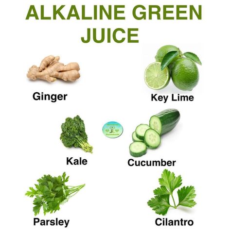 SIMPLE ALKALINE GREEN JUICE RECIPE 🌱 ••• 1 Key Lime  2 Cucumbers 1 Inch of Ginger 4 Stalks of Kale  1 Handful of Parsley  1 Handful of… Green Juice Recipe, Green Juice Recipes, Juice Fast, Alkaline Diet, Juice Recipe, Alkaline Foods, Juice Cleanse, Detox Juice, Green Juice