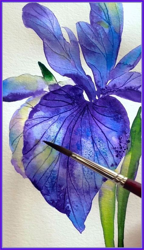 Real screct method how she lose her belly fat and weight wit Jeannie Dickson Watercolor, Botanical Art Watercolors, Painting Ideas Watercolor Inspiration, Watercolour Iris, Best Watercolor Paints, Watercolor Art Inspiration, Iris Watercolor Painting, Abstract Watercolor Paintings, Watercolor Iris