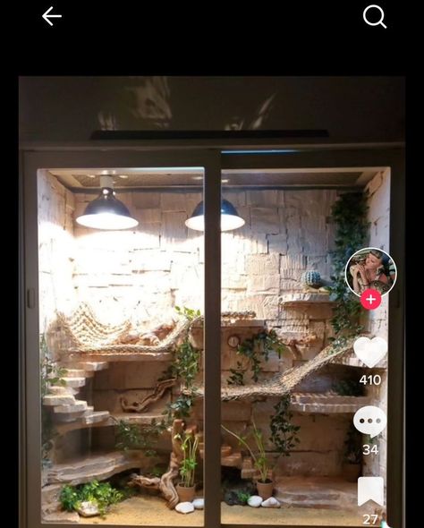 Diy Bearded Dragon Decor, Beardie Tank, Dragon Enclosure, Dragon Terrarium, Bearded Dragon Diy, Animal Enclosures, Bearded Dragon Terrarium, Bearded Dragon Enclosure, Bearded Dragon Habitat