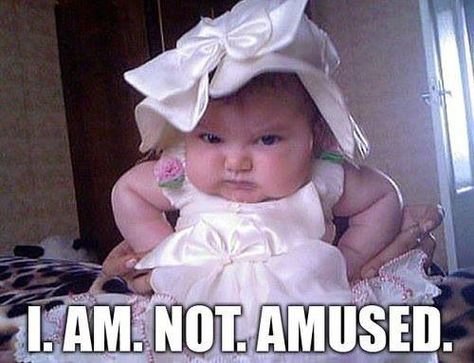 Funny jokes, Lmao quotes, jokes quotes, funny pictures, funniest thing ever, Omg hilarious  …For the best funny quotes and pics visit www.bestfunnyjokes4u.com Funny Cartoon Jokes, Funny Baby Faces, Kind Photo, Funny Baby Pictures, Funny Baby Memes, Funny Cartoons Jokes, Baby Faces, Baby Memes, Main Game