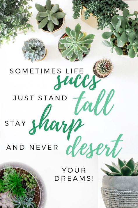 Succulent pun inspiration quote Succulent Puns, Cactus Quotes, Succulent Photography, Plant Puns, Succulent Wedding Favors, Plants Quotes, Succulent Bouquet, Succulent Garden Diy, Propagating Succulents