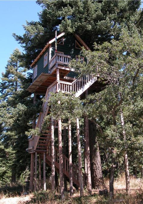 Big Treehouse Big Treehouse, Treehouse Aesthetic, Research Art, Adult Tree House, House Types, Luxury Tree Houses, Design Analysis, Beautiful Tree Houses, Tree Fort