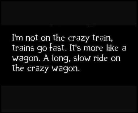 Falling Off The Wagon Quotes, Funny Puns Jokes, Camping Memes Humor Hilarious, Crazy Train, Truck Memes Funny Hilarious, Puns Jokes, Road Rage Meme Hilarious, Jeep Memes Hilarious, Life Humor