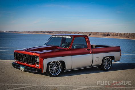 1973 Chevy Truck, Chevy Trucks Accessories, 87 Chevy Truck, Chevy Stepside, Custom Truck Beds, Lowrider Trucks, Dropped Trucks, Trucks Chevy, C10 Chevy Truck