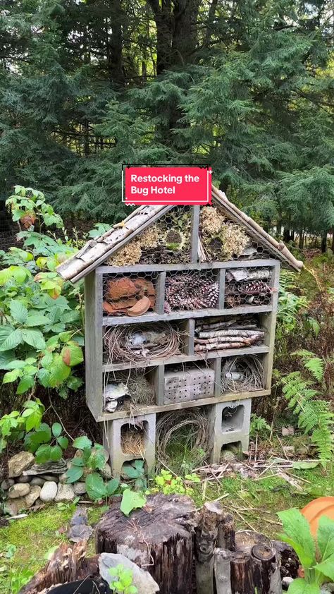 TikTok · Finch + Folly Pallet Patio Decks, Millipedes, Habitat Garden, Bee Hotel, Solitary Bees, Bug Hotel, Prairie Garden, Insect Hotel, Garden Bugs