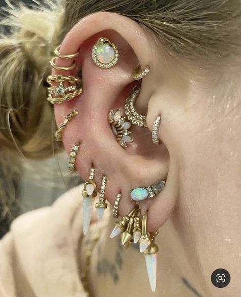 Curated Ears, Ear Piercing Ideas, Mod Jewelry, Piercing Inspo, Ear Art, Cool Ear Piercings, Pretty Ear Piercings, Cool Piercings, Coin Slot