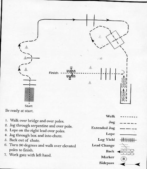 Trail Class Practice Patterns Trail Patterns Horse, Ranch Trail Patterns, Ranch Versatility, Aqha Western Pleasure, Trail Patterns, Horsemanship Patterns, Riding Ideas, Dressage Exercises, Horse Training Exercises