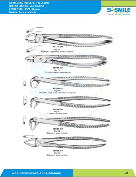 Leading manufacturer and exporter of best quality all types of dental extracting forceps to worldwide. Please enquire www.smile-surgical.com info@smile-surgical.com Dental Tools Names, Dental Amalgam, Dental Notes, Forceps Dental, Dental Assistant School, Dental Ideas, Medical Terminology Study, Dental Assistant Study, Dental Hygiene Student