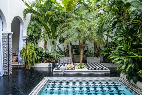 Casa Violeta in Nicaragua Proves There is Nothing Scary About a Black and White Palette Built In Daybed, Black And White Palette, Beyond Paint, Architecture Restaurant, Ceiling Trim, Domino Magazine, Peace And Tranquility, Giveaway Alert, White Palette