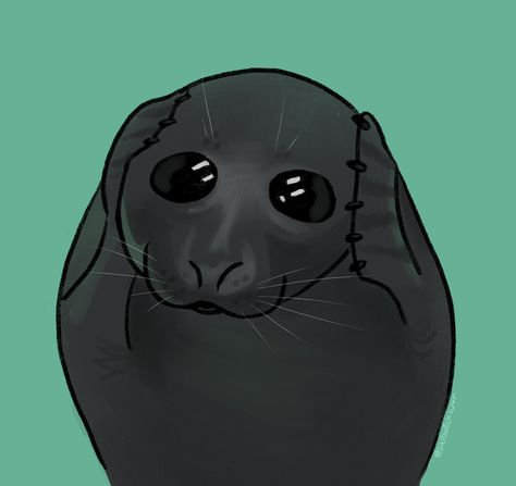 Seal Drawing Cute, Silly Seal, Seal Drawing, Not Listening, Cute Seals, Sea Lion, Animal Gifs, Funny Animal Videos, Sea Creatures