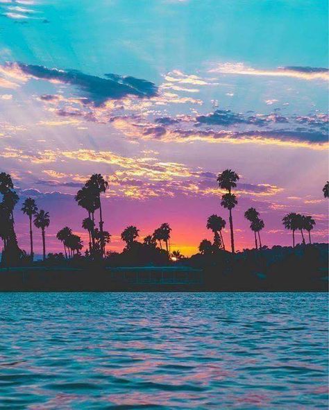 San Diego sunset City Life Photography, Palm Trees Wallpaper, San Diego Beach, Ocean Wallpaper, Sunset Wallpaper, Summer Wallpaper, Sunset Photos, San Diego California, Sky Aesthetic