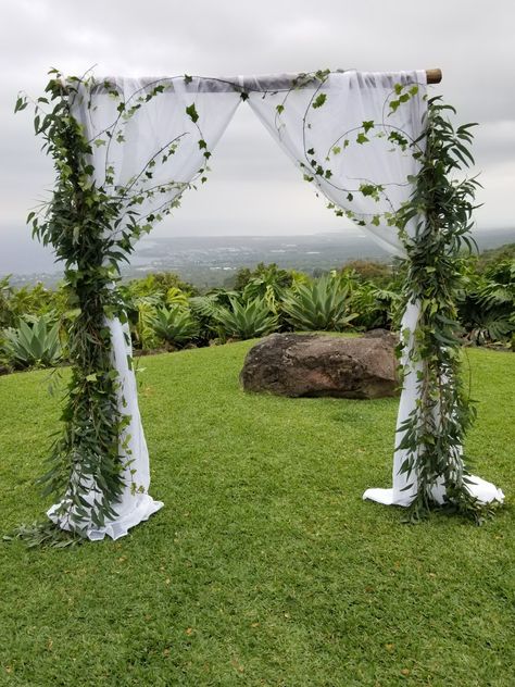 Our two post iron wood arch with ivy growing up the white fabric. Wedding, wedding arch, arch, Hawaii Ivy Wedding Arch, Iron Wedding Arch, Wedding Structures, Wedding Trellis, Wedding Archway, Pagan Wedding, Diy Table Decor, Wood Arch, Wooden Arch