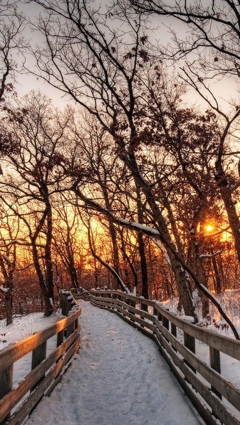 Sunset Iphone Wallpaper, Landscape Snow, Photography Ideas At Home, October Sky, Iphone Wallpaper Winter, Orange Trees, Winter Landscape Painting, Snow Forest, Hello December