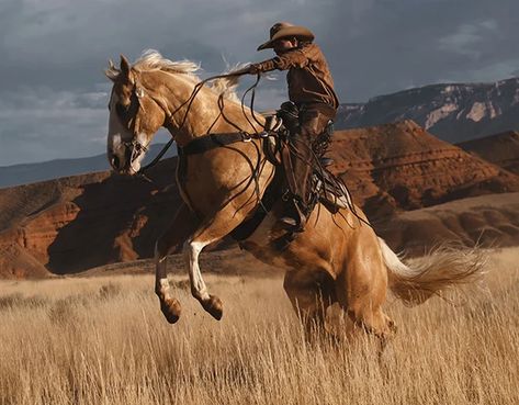 Blog Home | Boot Barn Cowboy Photography, Cowboy Pictures, Western Artwork, Cowboy Aesthetic, Western Paintings, Boot Barn, Cowboy Horse, Western Aesthetic, Cowboy Art