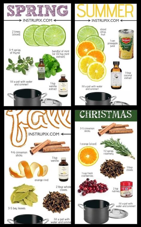 seasonal potporri Boiling Spices For Scent, Seasonal Simmer Pot Recipes, Full Moon Simmer Pots Witchcraft, Fall Boiling Pot Smell Good, Scent Pot, House Scents, Vinegar Cleaning Hacks, Air Freshener Recipes, Simmering Pot