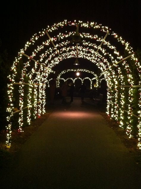 arbor at Christmas at #Longwood Gardens Fairy Lights Arch, Marriage Arch Decorations, Lighted Walkway Wedding, Canopy With Lights Outdoor, Garden Theme Restaurant, Indian Christmas Decorations, Christmas Light Tunnel, Outside Stage, Arch With Lights