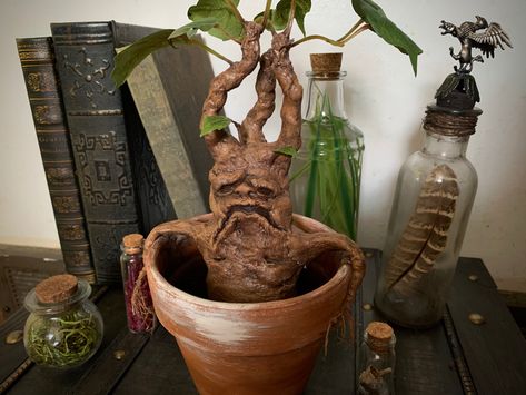 Mandrake Root Harry Potter, Harry Potter Diy Mandrake, Mandrake Clay Diy, Diy Harry Potter Clay Crafts, How To Make A Mandrake, Harry Potter Displays, Harry Potter Halloween Display, Harry Potter Clay Crafts, Mandrake Ornament