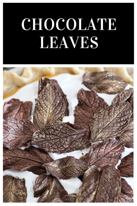 Chocolate Leaves How To Make, Christmas Trifles, Chocolate Leaves, Edible Leaves, Hobbit Food, Autumn Desserts, Shock Everyone, Autumn Cake, Christmas Trifle