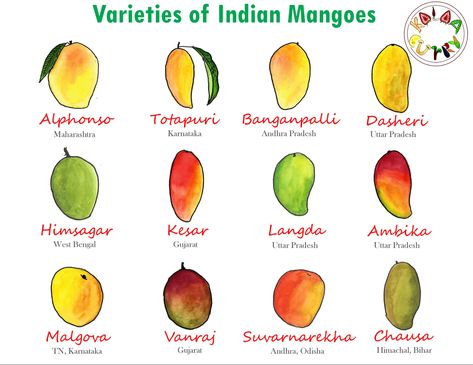 Food illustrations Mango Varieties, Photo Art Gallery, Nature Art Painting, Food Illustrations, Nature Art, Mango, Art Painting, Fruit, Baking