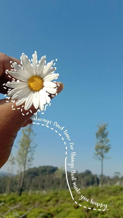 Asthetic Caption For Self Picture, Daisy Captions, Asthetic Caption For Insta Post Pictures, Doodles On Pictures Instagram, Asthetics Photos, Vintage Nature Photography, Flower Snap, Nature Photography Quotes, Instagram Design Creative