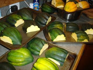 Canned Squash, Squash Types, Acorn Squash Recipes, Canning Vegetables, Baked Veggies, Good Roasts, Squash Casserole, Frozen Veggies, Dehydrated Food