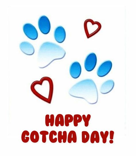 Happy Gotcha Day Dog Quotes, Gotcha Day Quotes, Gotcha Day Dog, Happy Gotcha Day, Vintage Calligraphy, Birthday Memes, Happy Birthday Quotes Funny, Adoption Day, Anniversary Greetings